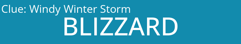 Windy Winter Storm