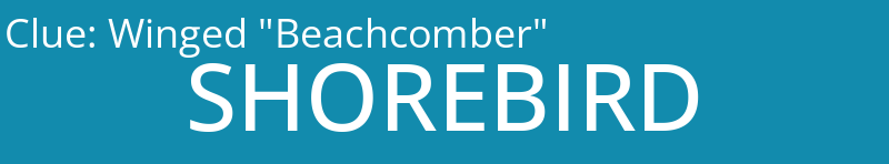 Winged "Beachcomber"