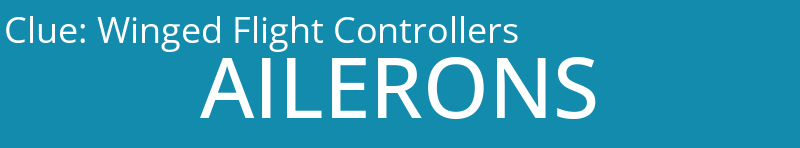Winged Flight Controllers
