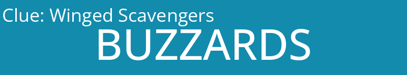 Winged Scavengers