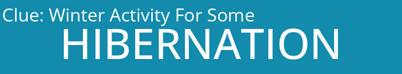 Winter Activity For Some