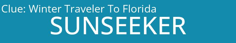 Winter Traveler To Florida