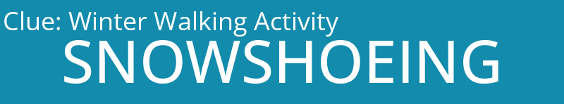 Winter Walking Activity