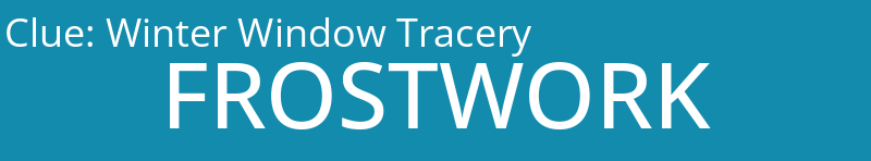 Winter Window Tracery