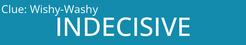 Wishy-Washy