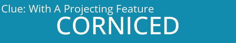 With A Projecting Feature