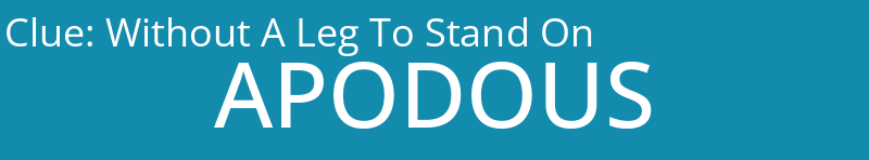 Without A Leg To Stand On
