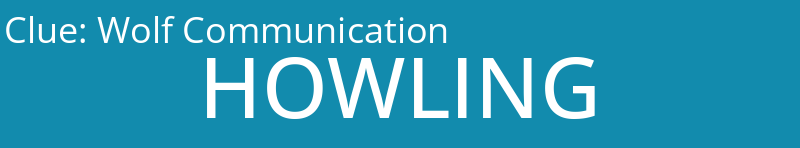 Wolf Communication