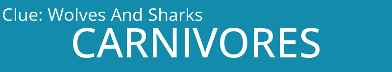 Wolves And Sharks