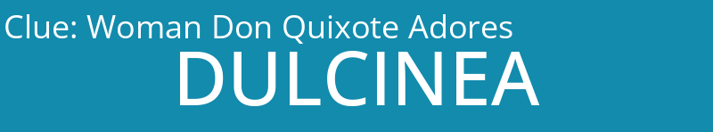 Woman Don Quixote Adores