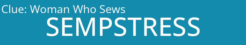 Woman Who Sews