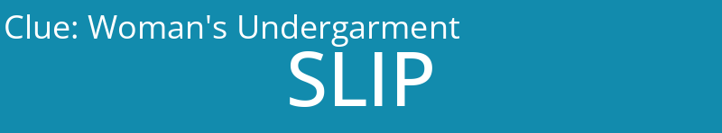 Woman's Undergarment