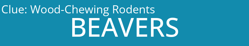 Wood-Chewing Rodents