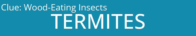 Wood-Eating Insects