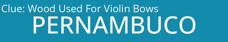 Wood Used For Violin Bows