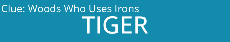 Woods Who Uses Irons