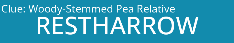 Woody-Stemmed Pea Relative