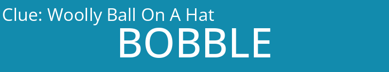 Woolly Ball On A Hat