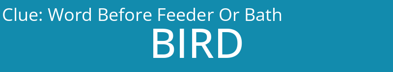 Word Before Feeder Or Bath