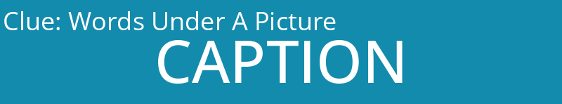 Words Under A Picture