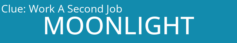 Work A Second Job