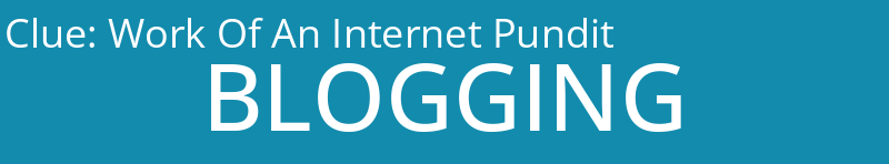 Work Of An Internet Pundit