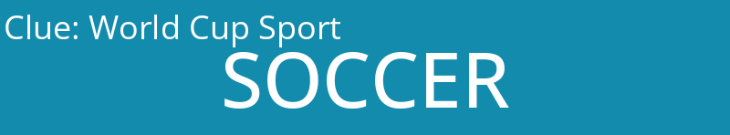 World Cup Sport