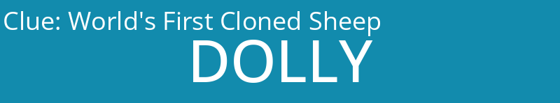 World's First Cloned Sheep