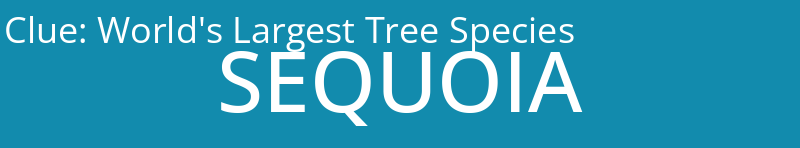 World's Largest Tree Species