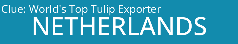 World's Top Tulip Exporter