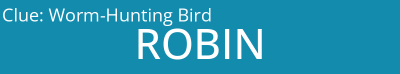 Worm-Hunting Bird