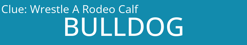 Wrestle A Rodeo Calf