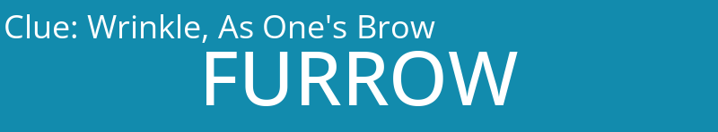 Wrinkle, As One's Brow