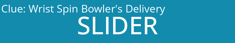 Wrist Spin Bowler's Delivery