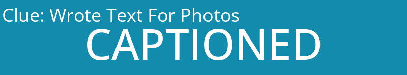 Wrote Text For Photos