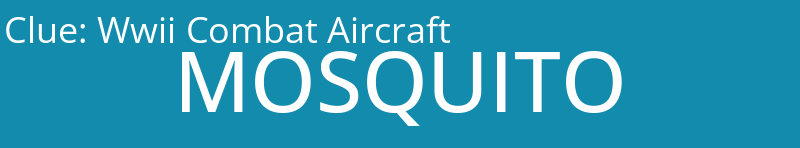 Wwii Combat Aircraft