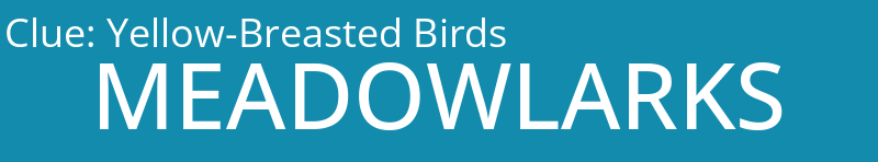 Yellow-Breasted Birds