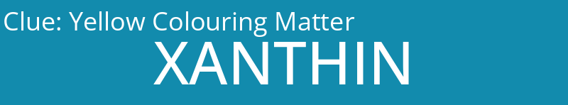 Yellow Colouring Matter