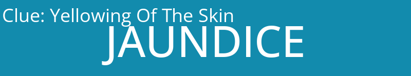 Yellowing Of The Skin