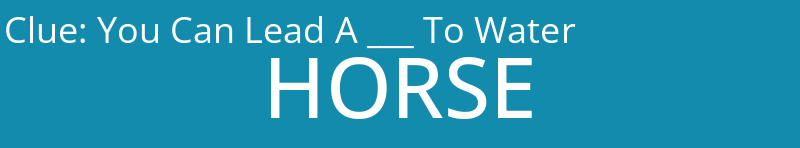 You Can Lead A ___ To Water