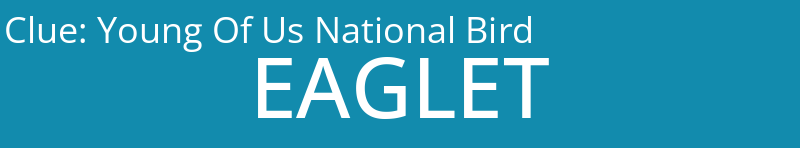 Young Of Us National Bird