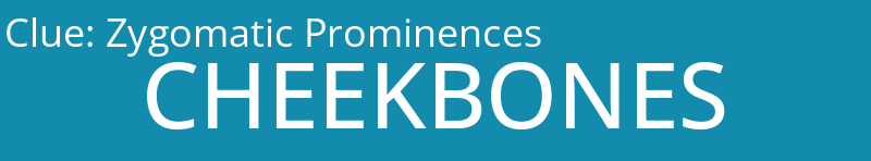 Zygomatic Prominences